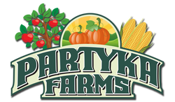 Partyka's Pumpkin Seeds